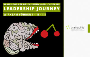 Führungsentwicklung, Leadership, brainability Leadership Journey - Wirksam führen